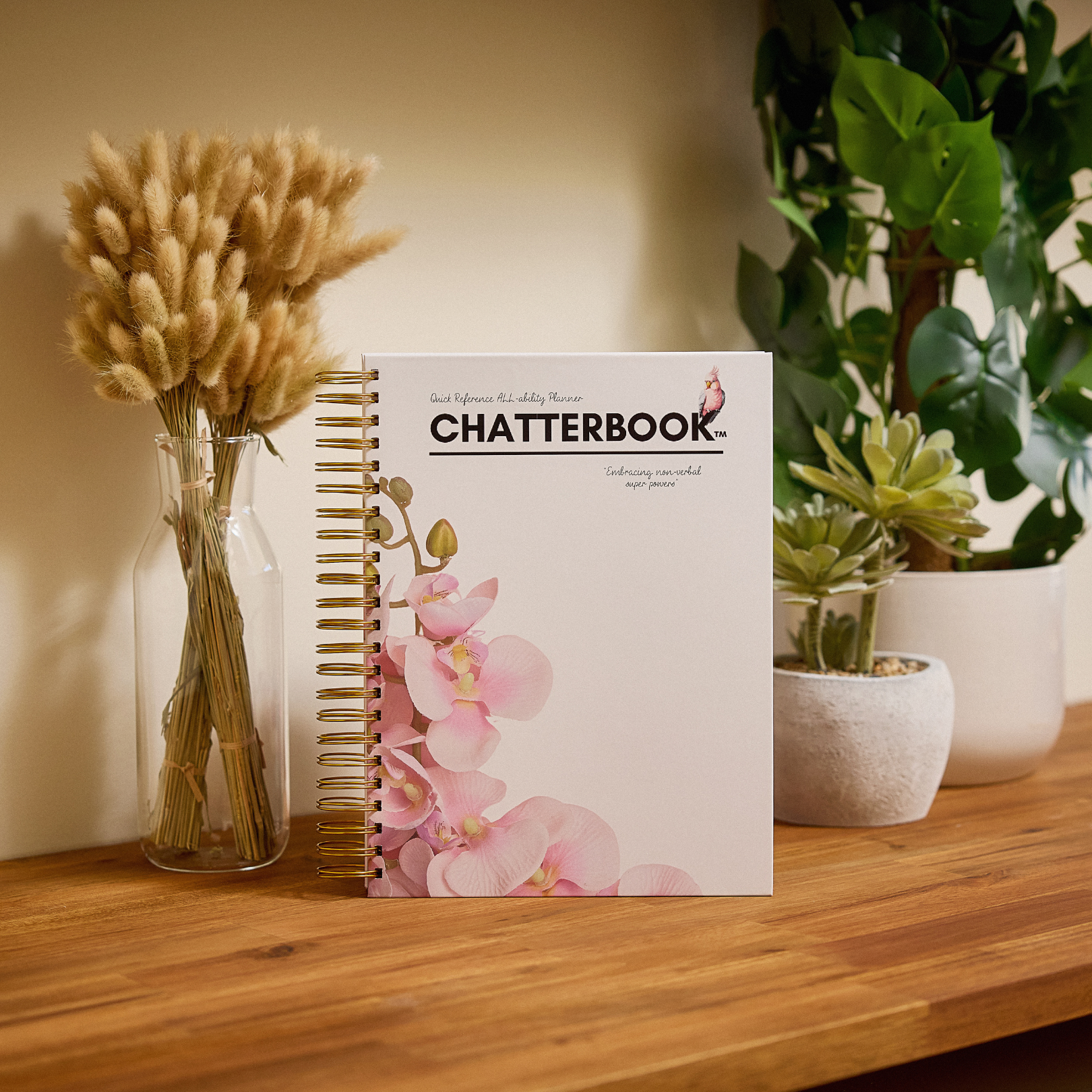 Complex Needs Physical Planner