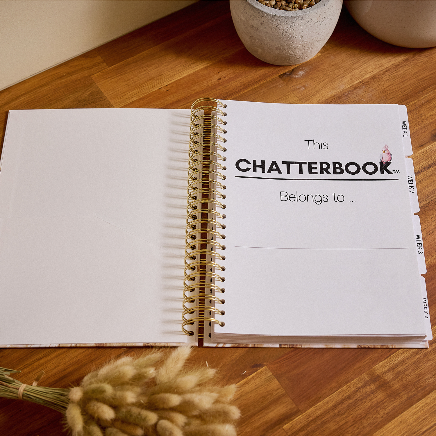 Complex Needs Planner