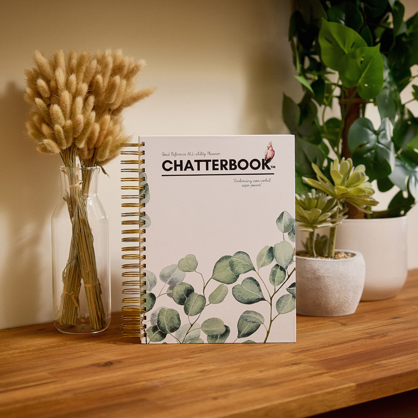 Chatterbook Half Year Subscription